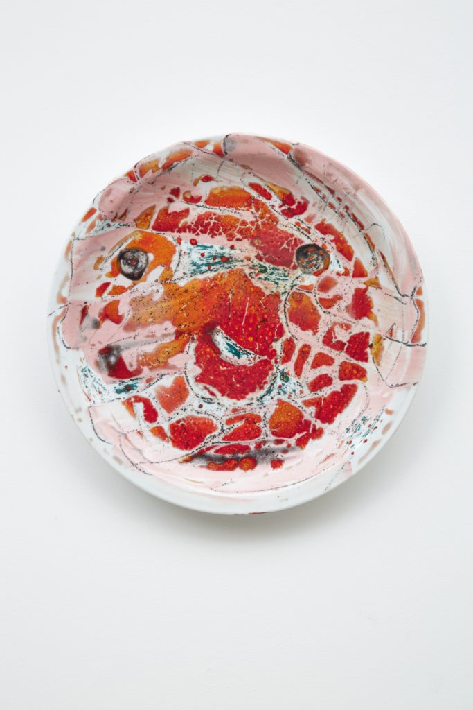 Forde Tom Humphreys – Under the wing